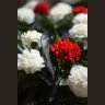 Траурный венок из красных и белых гвоздик
